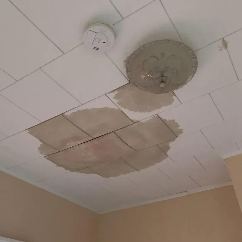 Ceiling Water Damage Repair in Nolensville, TN