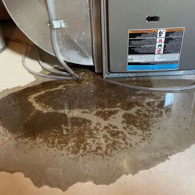 Pipe Burst and Leak Restoration in Nolensville, TN